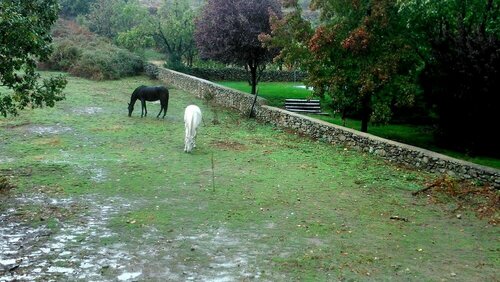 El Turcal, Prenota Hotel  