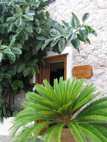 Mistral Hotel, Prenota Hotel Hotel a Isole Saroniche con colazione, Colazione
