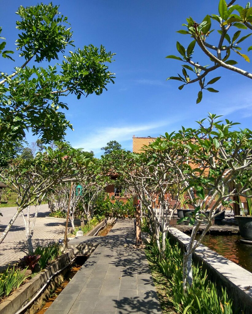 Jadul Village Resort & Spa