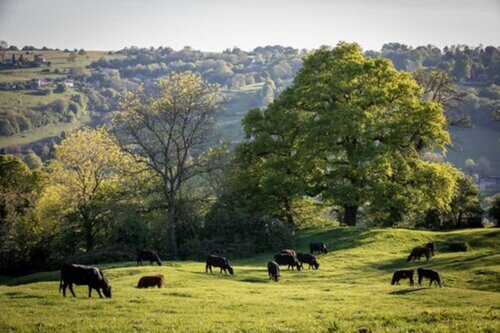 Burleigh, Book Hotel Gloucestershire Merseyside