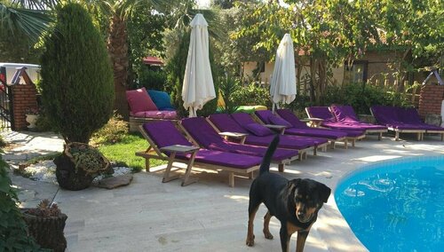 Yeni Doga Hotel, Rezerwuj Hotel Ortaca Muğla