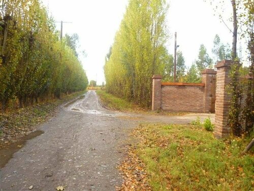 Finna Estampa, Забронировать Отель Отели Пальмилья с бассейном, Бассейн