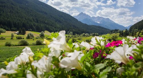 Parggenhof, Забронировать Отель Сан-Кандидо Hochpustertal Valley