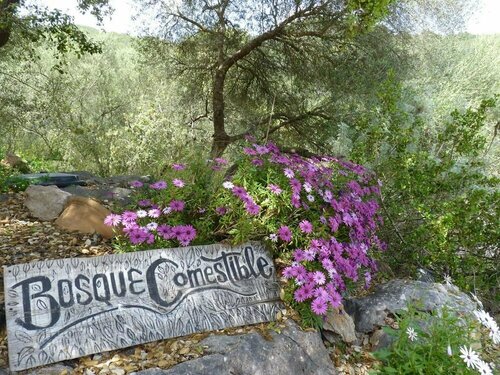 Agroturismo Can Torna AG178, Prenota Casa vacanze Hotel a Maiorca con piscina, Piscina