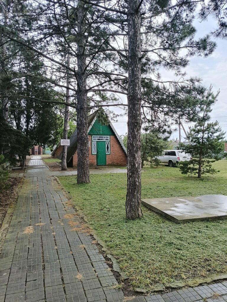 Юность