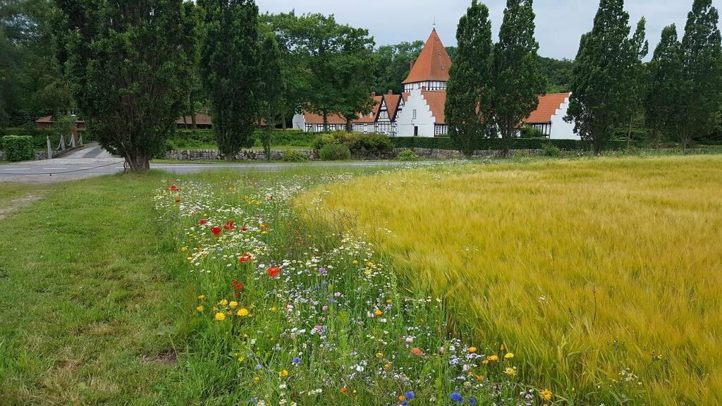 Naboløs Rooms