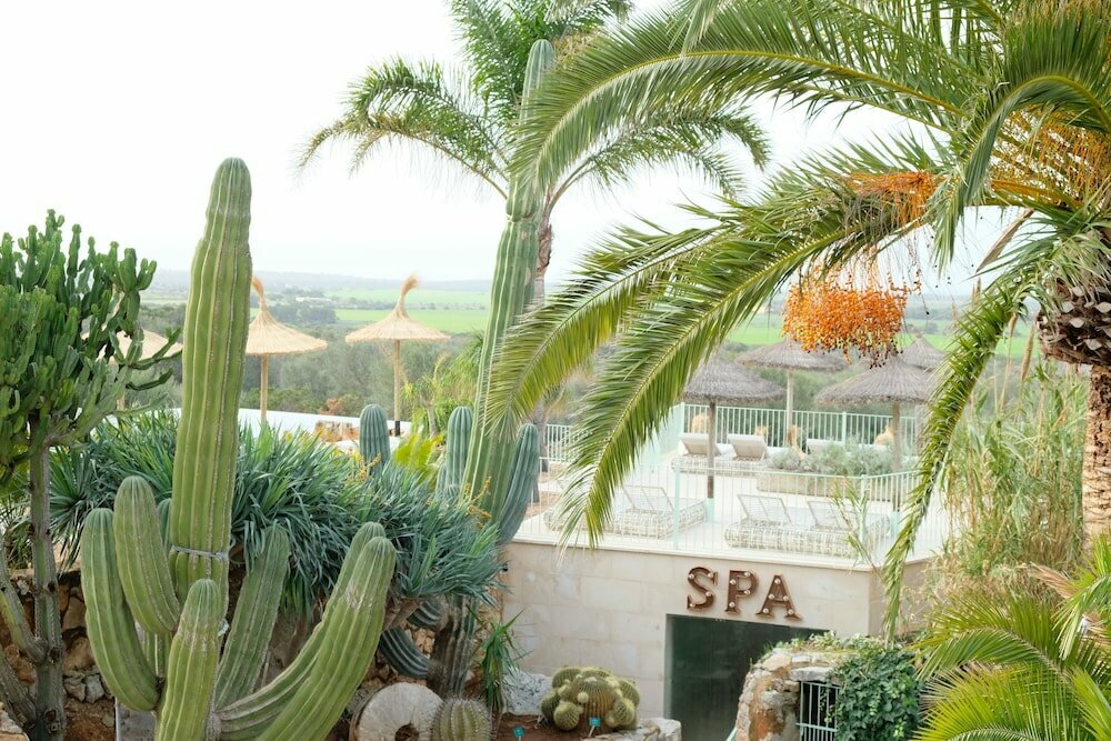 Finca Hotel Rural Es Turó