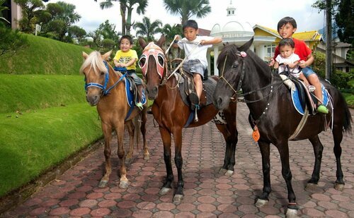 Yasmin Puncak Hotel, Reserva ahora Hotel Cipanas Oeste de Java