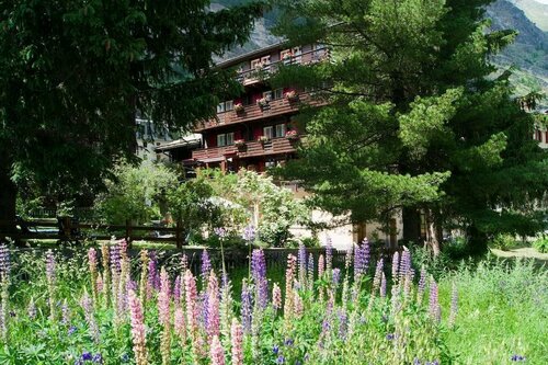 Hotel Alpina, Prenota Hotel Zermatt 