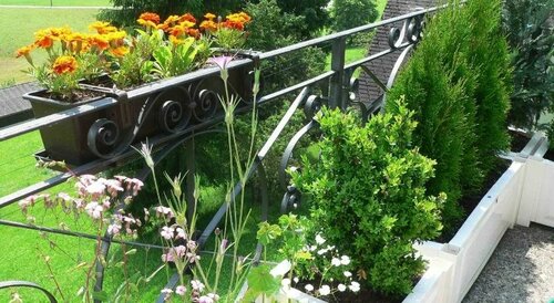 B&B Gästehaus Rössli Schwellbrunn, Забронировать Отель «постель и завтрак» Швельбрун Ауссерроден