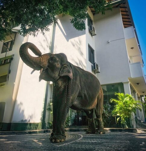 Hotel Yo Kandy, Забронировать Отель Бизнес-отели Канди, рядом с Стадион Богамбара, 4* 5*