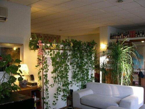 Albergo Le Rose, Book Hotel Hoteller i Pistoia med parkering, Parkering