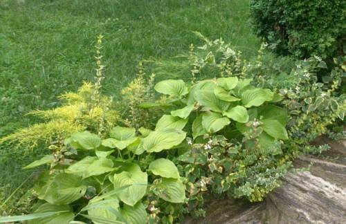 Matsureva House Pri Ivan, Rezervovat Hotel Bansko 