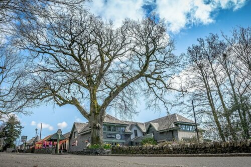 Oak Tree Inn, Забронировать Гостевой дом Балмаха Озеро Лох-Ломонд, рядом с Conic Hill