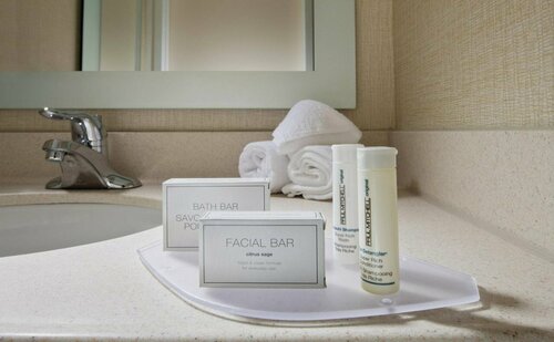 SpringHill Suites by Marriott Lansing West, Book Hotel Hoteller i Michigan med parkering, Parkering