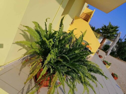 Li Frasulli Mei, Boek Bed and Breakfast Tuglie Salento