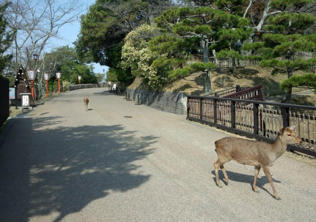 Nara Hotel