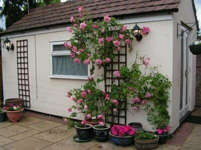 Rosa's BB, Book Bed and Breakfast 4-stjernede hoteller i Cambridge, 4*