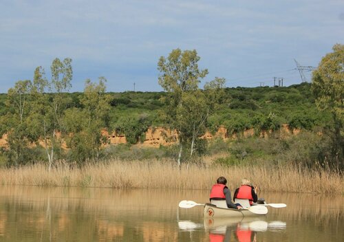 Chrislin African Lodge, Забронировать Лодж Аддо Addo Elephant Park