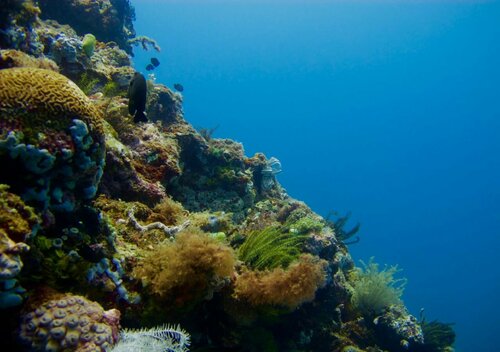 Scuba Bro Inc, Dive Resort, Забронировать Отель Батангас 