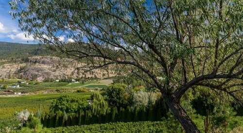 E'Laysa Guesthouse and Vineyard Retreat, Réserver Hôtel Hôtels à Colombie-Britannique avec parking, Parking