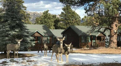 Mountain Shadows Cabins, Забронировать Курортный отель Эстес-Парк Rocky Mountain National Park