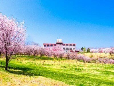 Greenpia Sanriku Miyako, Prenota Hotel Hotel a Tohoku con piscina, Piscina