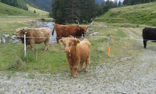 Sonnenhaus Sander, Book Hotel Hoteller i Vorarlberg med parkering, Parkering