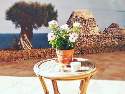Verdeoliva Bed & Breakfast, Book Bed and Breakfast Modugno Bari Province