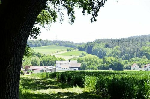 Hotel Gasthof Am Forsthof, Забронировать Отель Зульцбах-Розенберг Swabian Forest