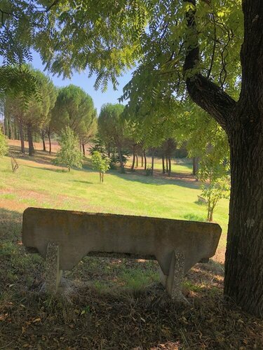 Cascina De' Fagiolari, Book Bed and Breakfast Lastra a Signa Toscana