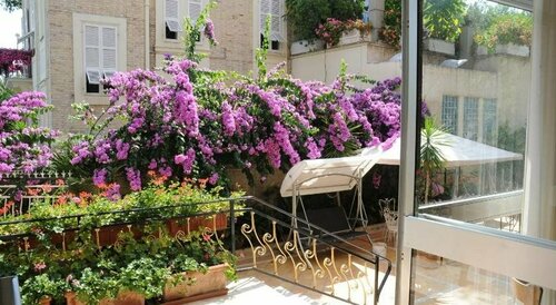 Hotel Florence, Rezerwuj Hotel San Benedetto del Tronto 