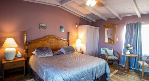 Harmony Motel, Забронировать Мотель Туэнтинайн-Палмс Joshua Tree National Park
