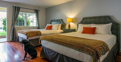 The Lodge at Blue Lakes, Buchen Sie Hotel Upper Lake Kalifornien
