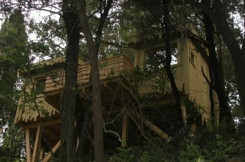 The Cabins in the Woods