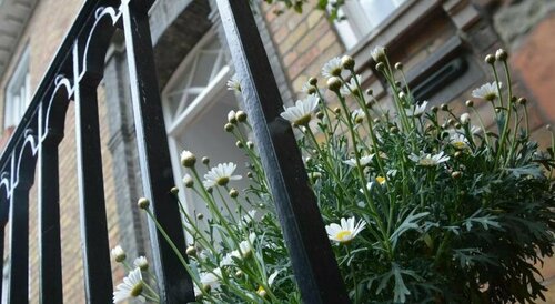 B&B Pickery, Забронировать Отель «постель и завтрак» Брюгге Западная Фландрия