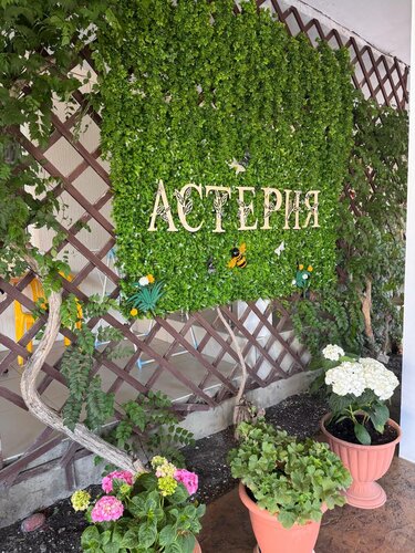 Asteriya Guest House, Rezervovat Penzión Kabardinka Gelendzhik Coast, blízko Kirovets Beach
