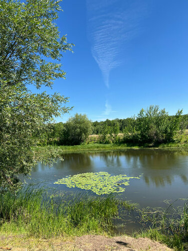 Volozhka