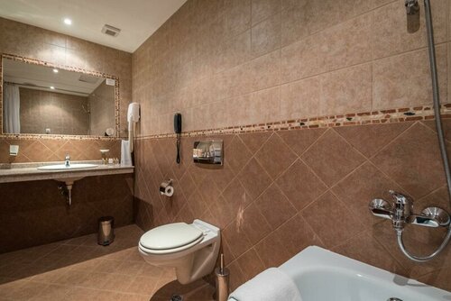 Lion Bansko Hotel, Prenota Hotel Hotel 4 stelle a Blagoevgrad, 4*