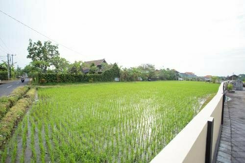 RedDoorz @ Raya Canggu 2, Rezerwuj Hotel Kerobokan Kelod Badung