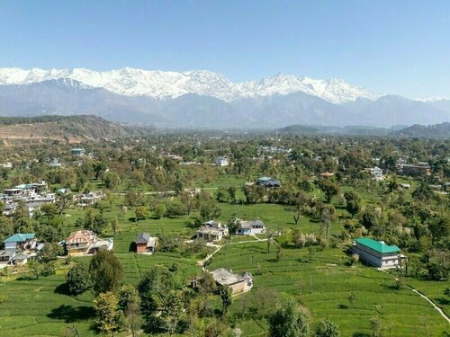 Tree of Life Birdsong Chalets, Book Chalet Dharamsala Himachal Pradesh