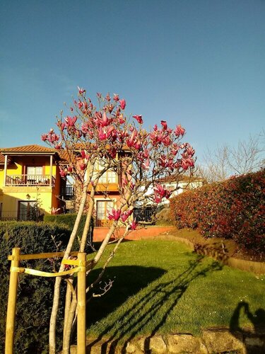 Apartamentos Rurales Antojanes, Réserver Appartement Hôtels à Asturies avec parking, Parking