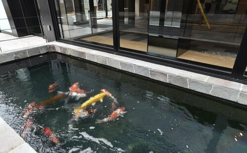 Hotel Glad One Kyoto Shichijo by M’s, Book Hotel Billige hoteller i Kyoto