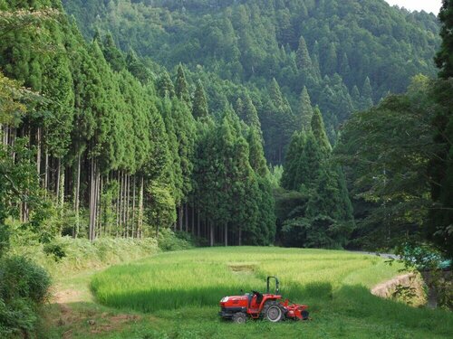 Farm Stay Banja