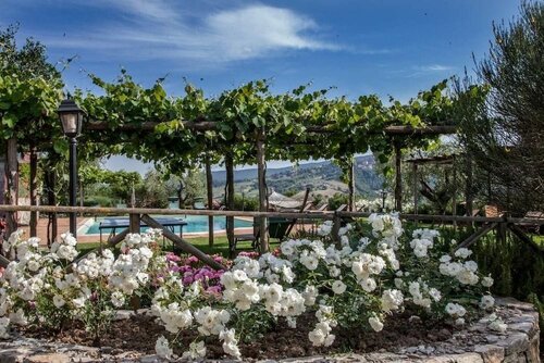 Agriturismo Belvedere delle Crete, Rezervați Hotel Hoteluri în Allerona cu piscină, Piscină