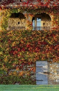 Relais Sant'Elena, Book Landbrugsophold Hoteller i Etruscan Coast med pool, Swimmingpool