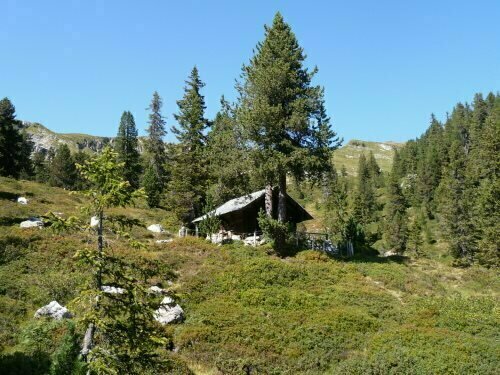 Alphotel Eiger B&B, Prenota Bed & breakfast Beatenberg Interlaken