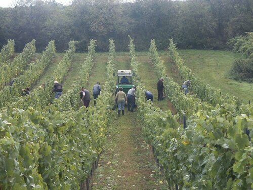 Weingut Seck, Забронировать Гостевой дом Дольгесхайм 