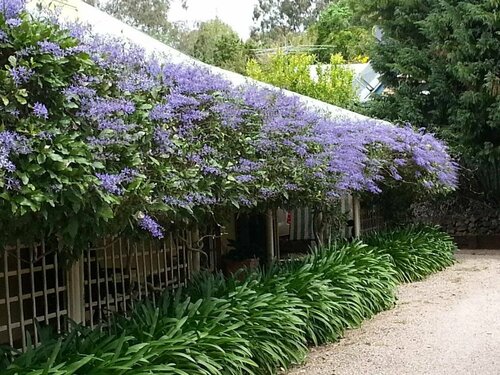 Bendles Cottages, Varaa Matkakoti Balmoral Ridge 