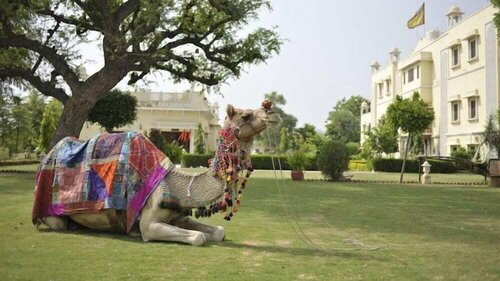 Roop Niwas Kothi, Rezervovat Hotel Nawalgarh Rajasthan